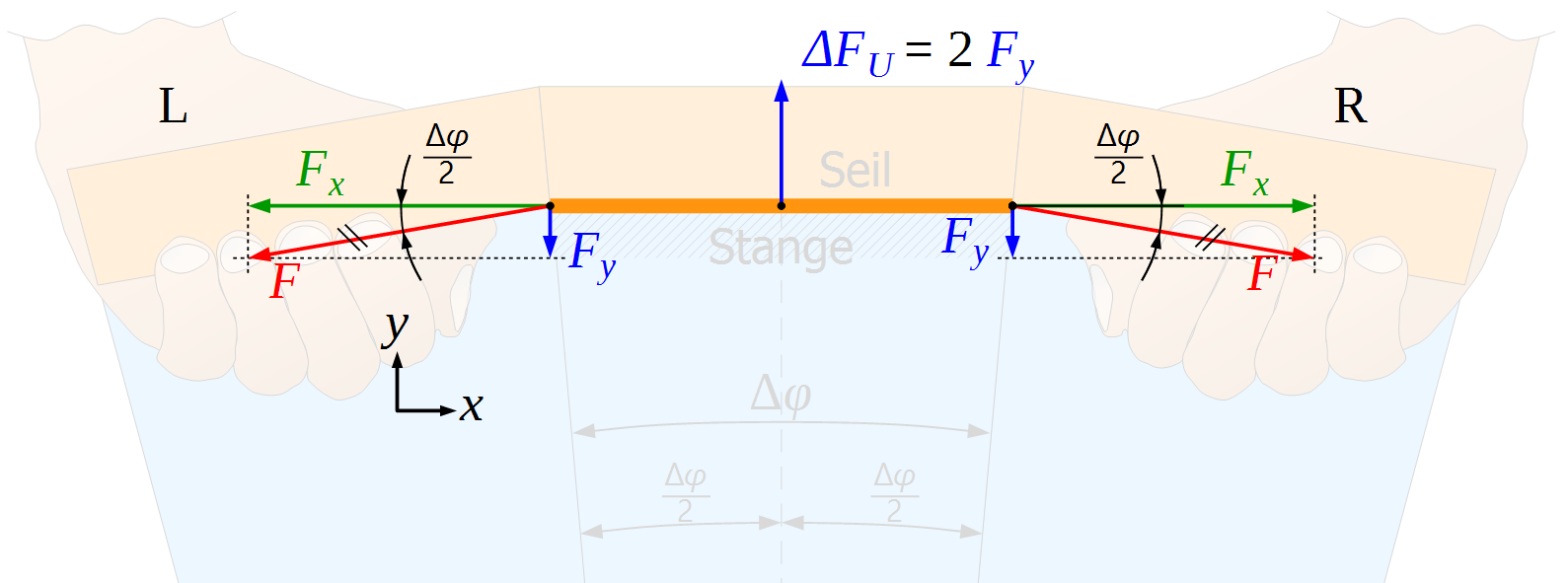 Seil-Reibung, Gleichung, Herleitung, Euler, Eytelwein, Ausschnitt